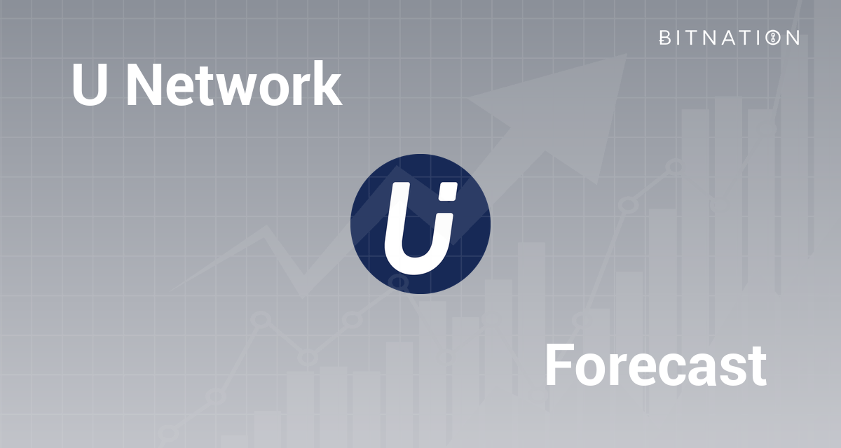 U Network Price Prediction