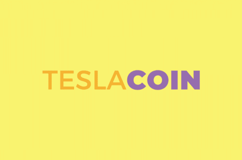 TeslaCoin İncelemesi 2023: Bir Dolandırıcılık mı?