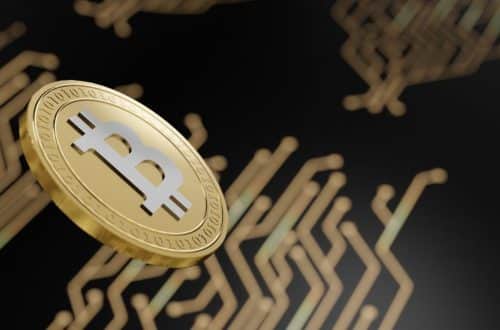 Acumulação de Bitcoin Continua, Altcoins Lento: Relatório de Mercado