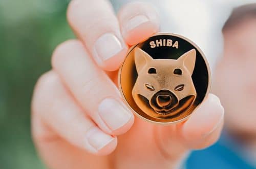 Shiba Inu Devs lança uma atualização sobre Shibarium, SHIB explode