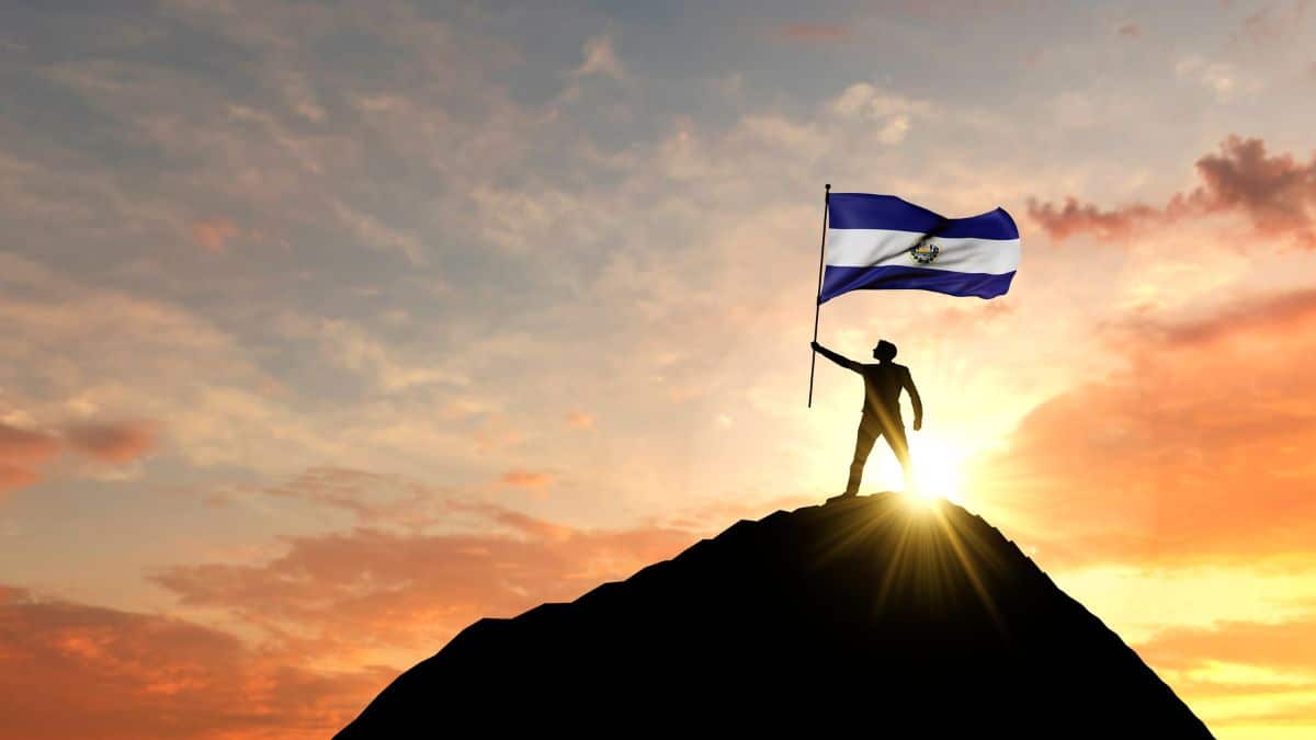 Digital asset exchange Bitfinex Securities El Salvador has received a new license from El Salvador’s National Digital Asset Commission.