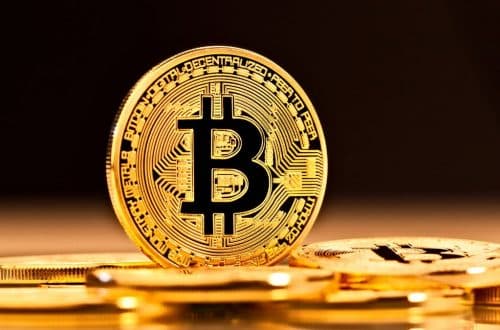Peter Schiff anuncia la colección NFT de Bitcoin Ordinals