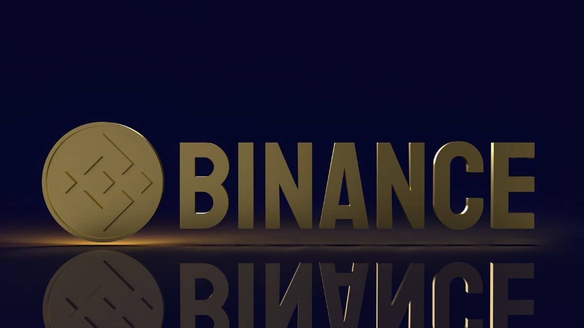 In a 60-page petition, Binance lawyers wrote that the SEC had overstepped its boundaries when it filed the lawsuit. 