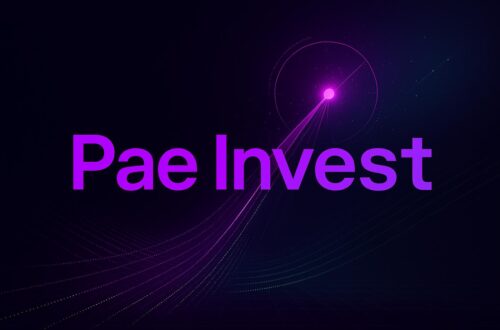 Pae Invest Review 2025: Legit Opportunity Or Risky Bet