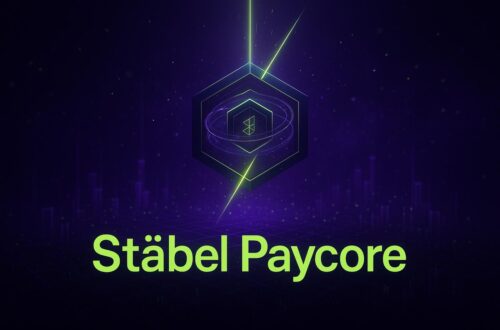 Stäbel Paycore Review 2025: High-Risk Automation Check