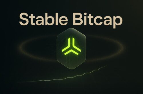 Stable Bitcap Review 2025: Cautious Guide To This Platform